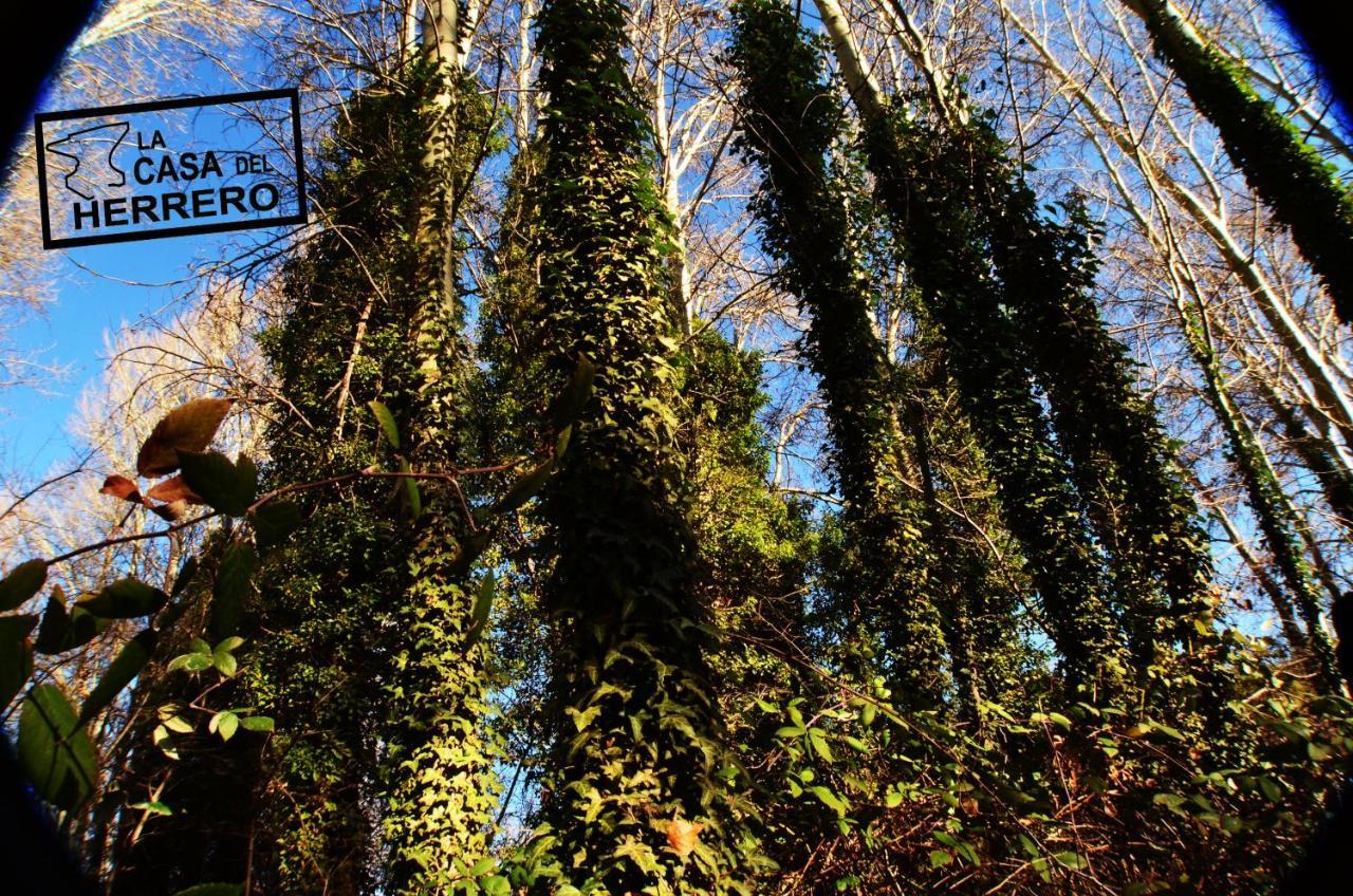 La Casa Del Herrero El Poyo Bagian luar foto